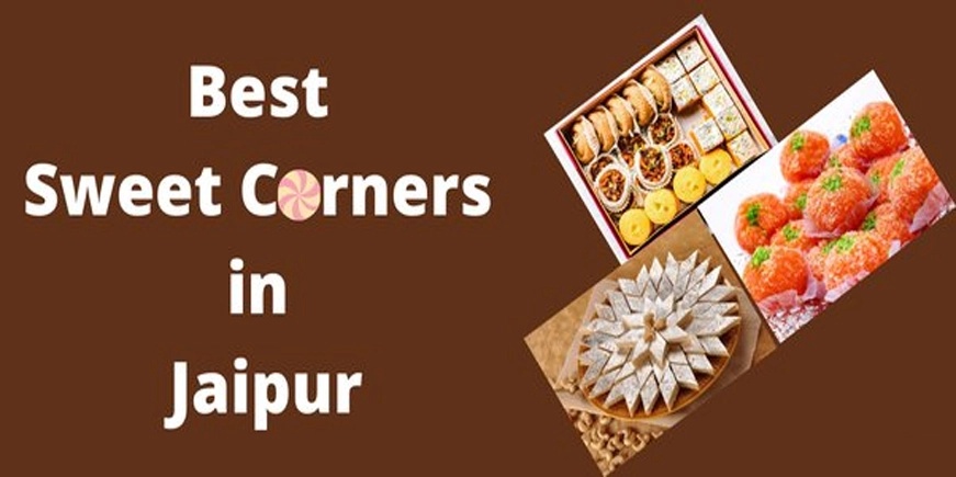 Low Cost SEO Company in Vadodara