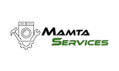 Website Design Agency in Vadodara