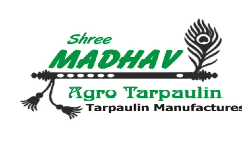 Website Design Agency in Vadodara